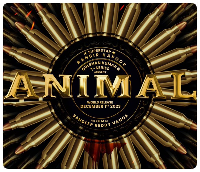 Animal Box office collection